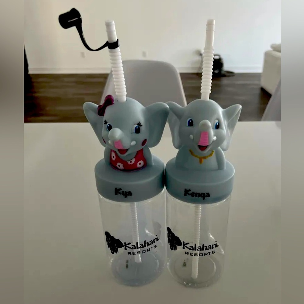 2 for $25 Introducing KALAHARI WATER BOTTLES!!!